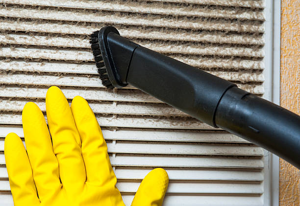 Best HVAC Maintenance and Cleaning  in Fountainebleau, FL